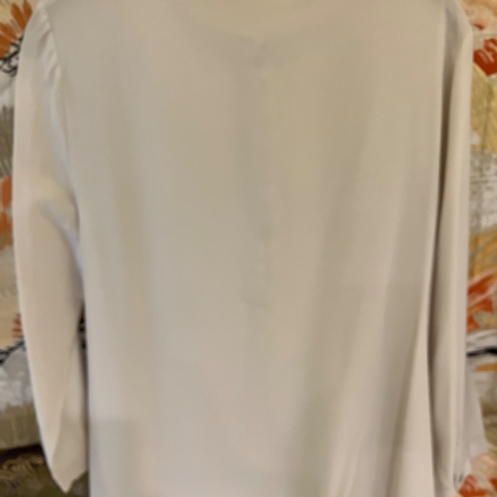 SILK SHIRT - Picture 2 of 2